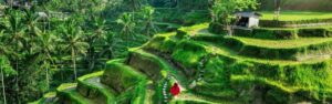 Destinasi Bali: Menjelajahi Keindahan Alam Bali