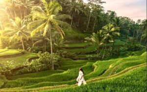Panduan Destinasi Bali Paling Menarik dan Unik