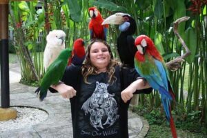 Bali Safari & Marine Park