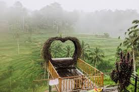 Jelajahi Tegalalang Destinasi Bali Asri