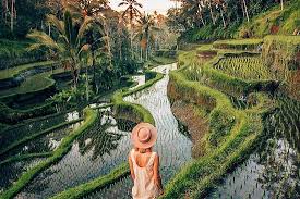 Menikmati Keindahan Tegalalang Bali: Tiket Masuk & Jam Buka Terbaru