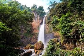 Desa Petang (Badung): Harmoni Alam Pegunungan